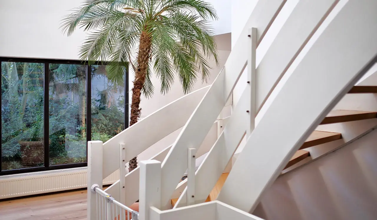 Weiße Treppe mit Holzstufen, dahinter eine Palme vor großem Fenster