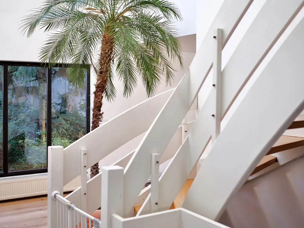 Weiße Treppe mit Holzstufen, dahinter eine Palme vor großem Fenster